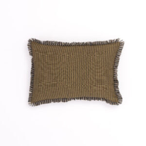 coussin punjab curry