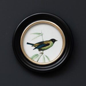 Cadre Rond OISEAU