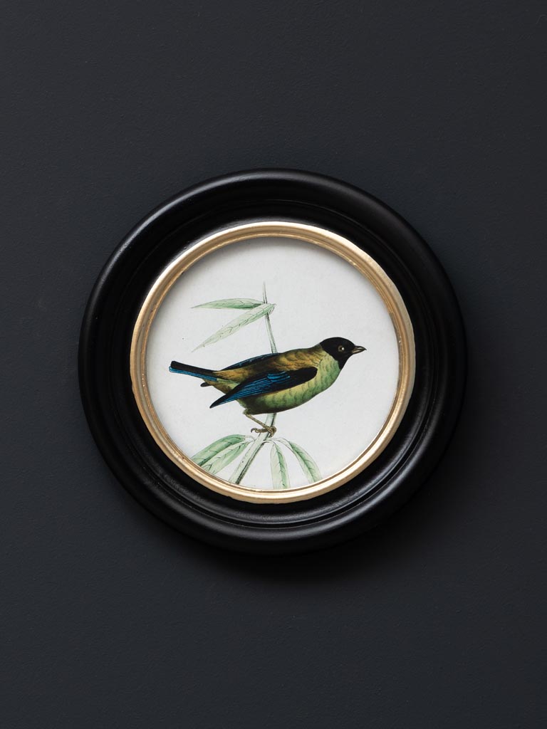 Cadre Rond OISEAU