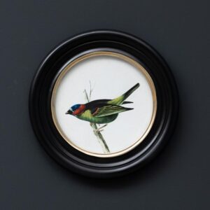 Cadre Rond OISEAU