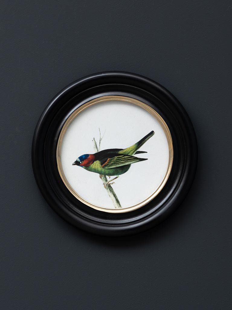 Cadre Rond OISEAU