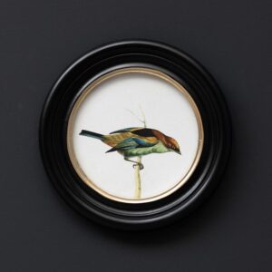 Cadre Rond OISEAU