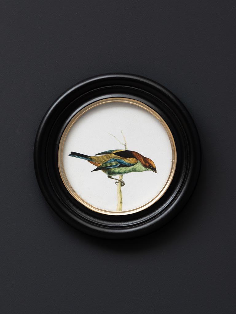 Cadre Rond OISEAU