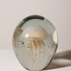 Méduse SULFURE crème