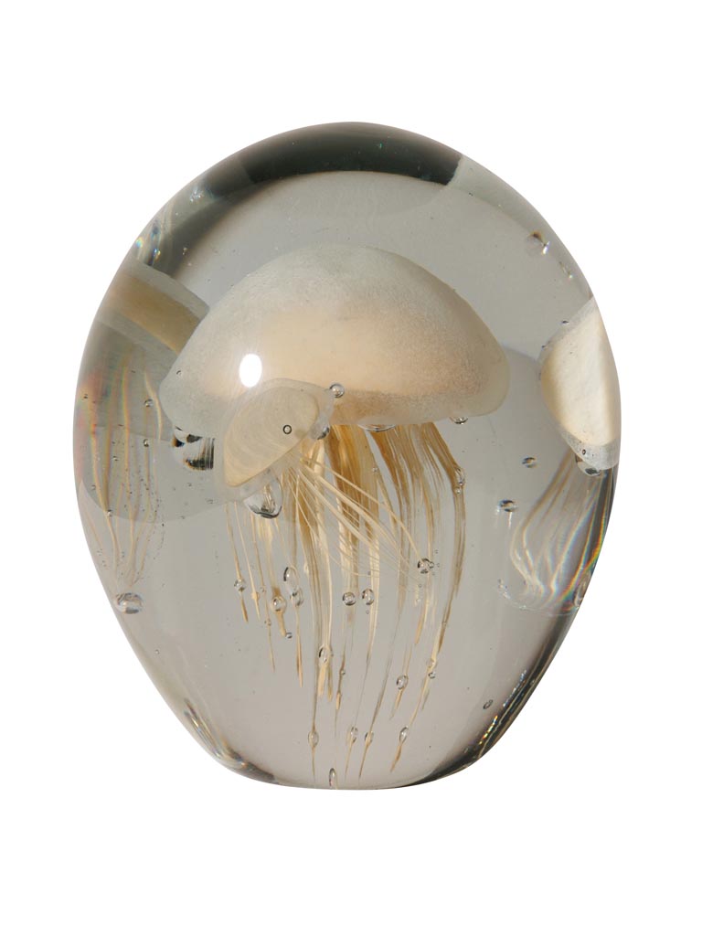 Méduse SULFURE Crème | Verre 3 méduses – Image 5